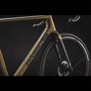 Basso Bikes Palta Disc Gold Burn Frameset click to zoom image