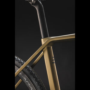Basso Bikes Palta Disc Gold Burn Frameset click to zoom image