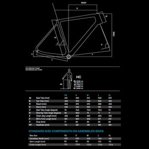 Basso Bikes Palta Disc Gold Burn Frameset click to zoom image