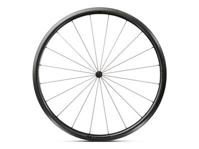 Reynolds 18 Wheelset AR 29 TL Rim HG